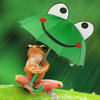 Frog_with_umbrella