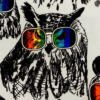 OwlInRainbowGlasses
