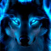 Mystic Wolfi