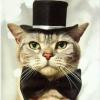 Cat_in_hat