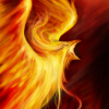 The Phoenix Reborn