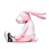 Rabbit_in_slip