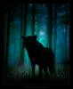 Darkspine Wolf