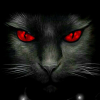 Mad_Black_Cat