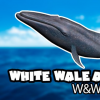 White_Whale_Walery