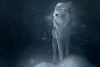 Белая Волчица.