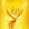 Phoenix Lord