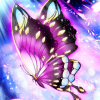 Crazy_Butterfly