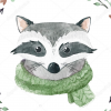 Fluffy_Raccoon