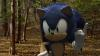 Sonic_Fanficer