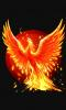 Flaming_Phoenix_