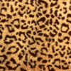 Леопардовый бочок