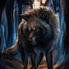 Жеводанская волчица 15