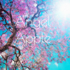 AngelApple12