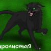 Черная Кошка_13