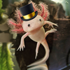 Axolotl hat