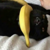 Сырок с бананом