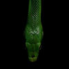 Green_snake