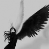 Тёмные Крылья