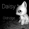 Daisy213