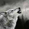 T.wolf