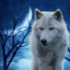 White Light Wolf