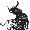 Black_bull
