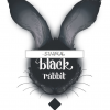 sinful black rabbit
