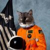 the cat who meowed in space