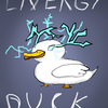 Energy_Duck