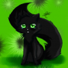 Черная Кошка _ 13