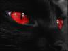 Котейка с красными глазами