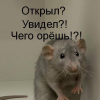 крыса-в-танке