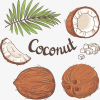 Coconat