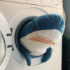 голубая_акула