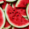 WatermelonSeal666