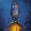 The light-bearing Owl