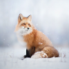 Prankish Fox