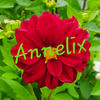 Annelix