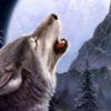 Волчица Белая