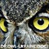 Dr.Owl-Ukraine