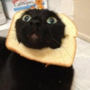 Котик с хлебушком