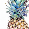 Holy pineapple