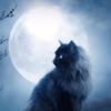 Кошак с Луны