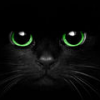 _Black-Cat_