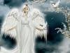 Белокрылый ангел