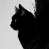 черный кот твоей души