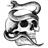 SnakeSkull