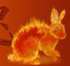 Огненный кролик