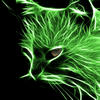 green_cat_06